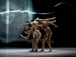 Jacopo Godani / Dresden Frankfurt Dance Company, "Extinction of a Minor Species"- Montpellier Danse 2018-By Arnaud Caravielhe
